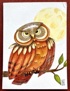 Whimsical owl